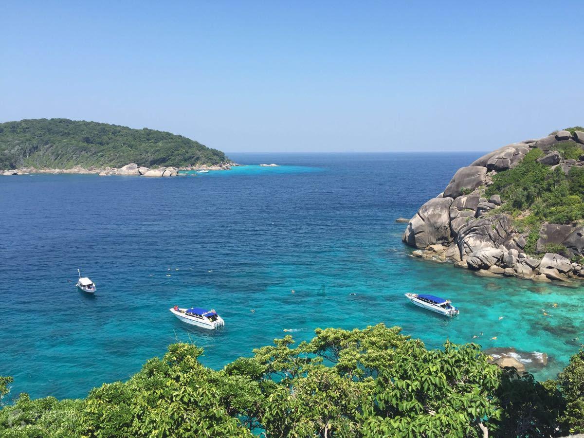 智能水洗大势所趋,森歌智能水洗集成灶引领厨电新浪潮